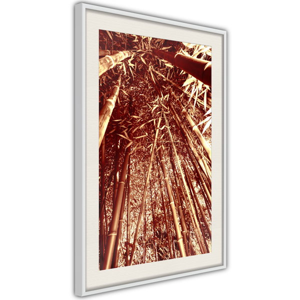 Poster 'Asian Forest'