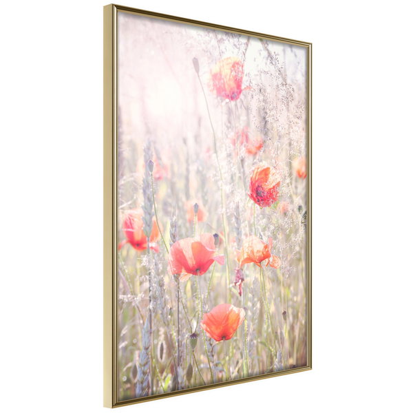 Poster 'Poppies'