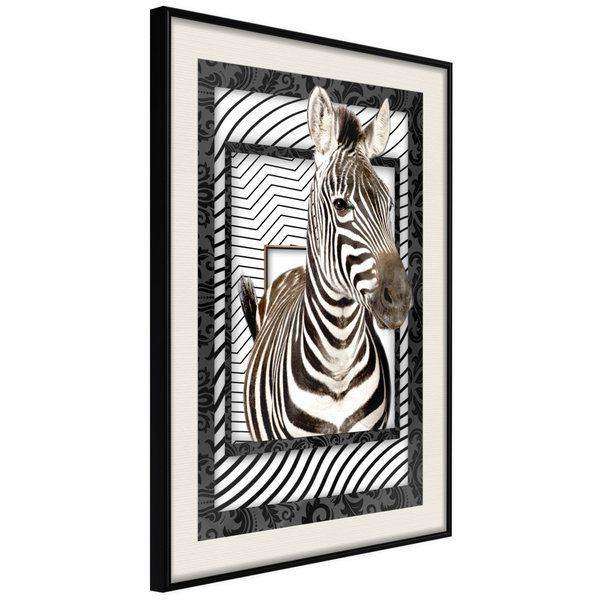 Poster 'Zebra in the Frame'