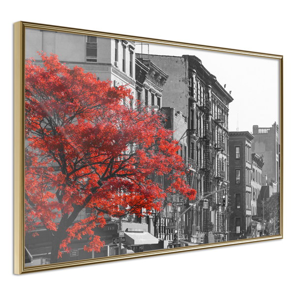 Poster 'Autumn Colours II'