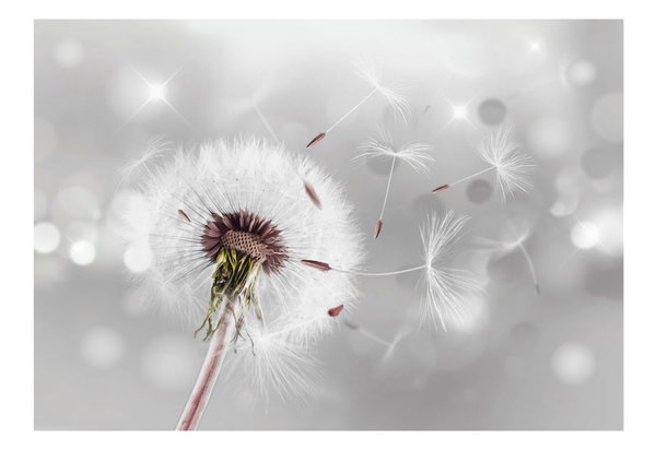 Selbstklebende Tapete 'Grasping the Invisible'