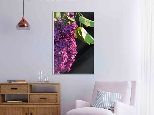 Poster 'Violet May'