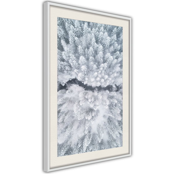 Poster 'Winter Forest From a Bird's Eye View'