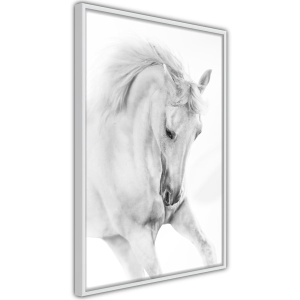 Poster 'White Horse'