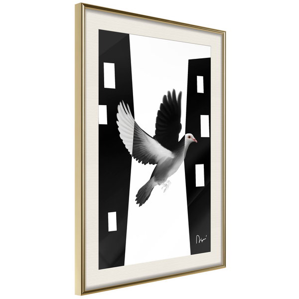 Poster 'Caught in Flight'