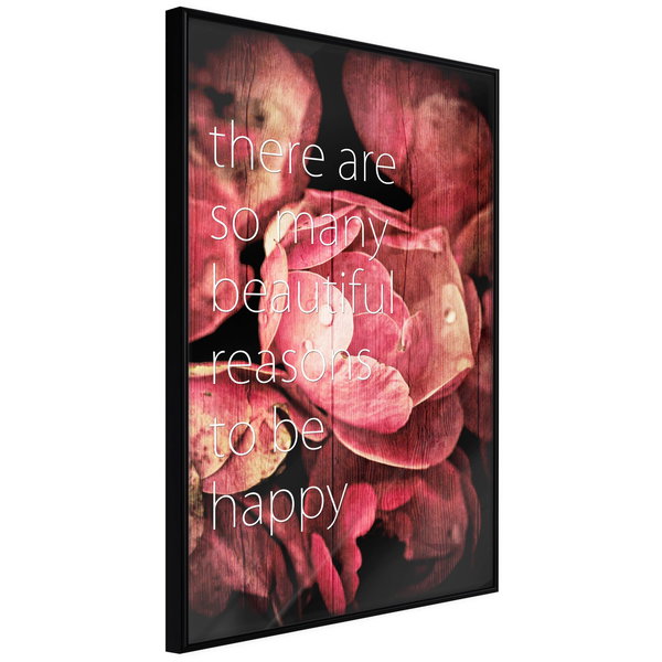 Poster 'Many Reasons to Be Happy'