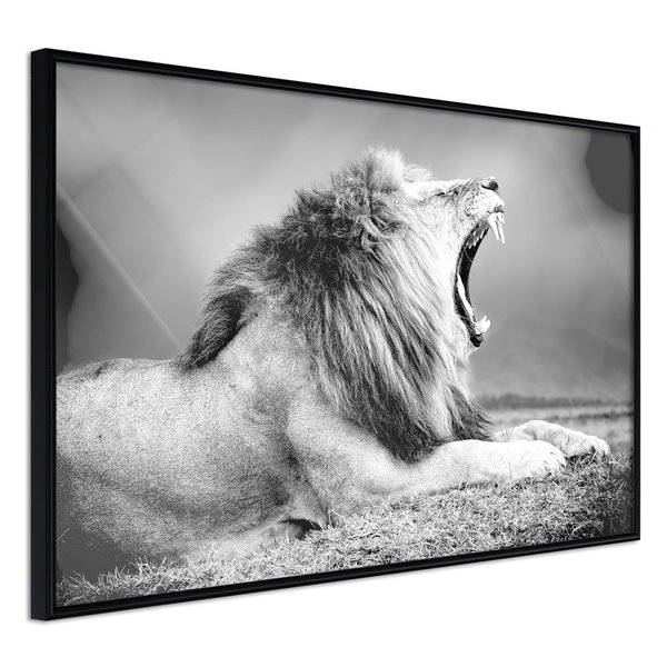 Poster 'Yawning Lion'