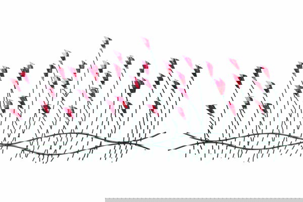 Décoration artistique pour votre mur