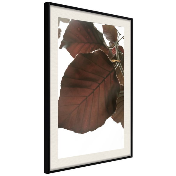 Poster 'Burgundy Tilia Leaf'