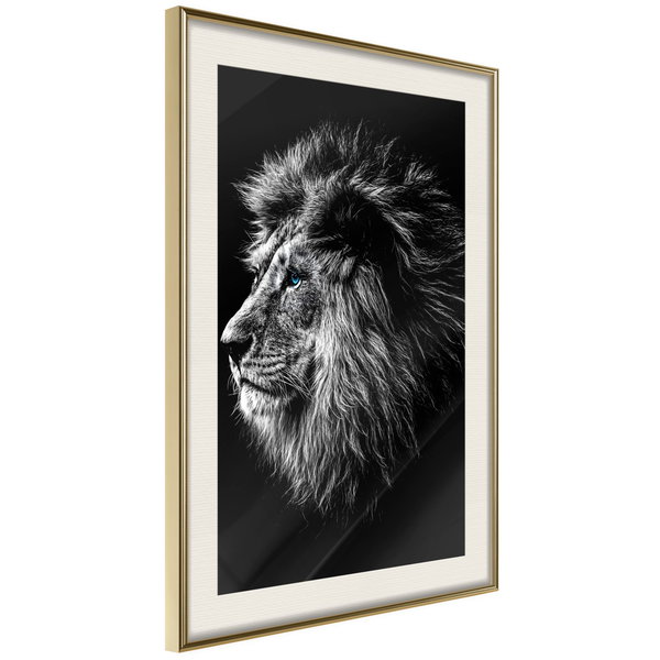 Poster 'Blue-eyed Lion'