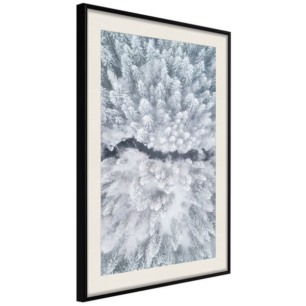 Poster 'Winter Forest From a Bird's Eye View'