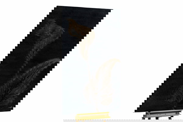 Een uniek exemplaar voor je interieur