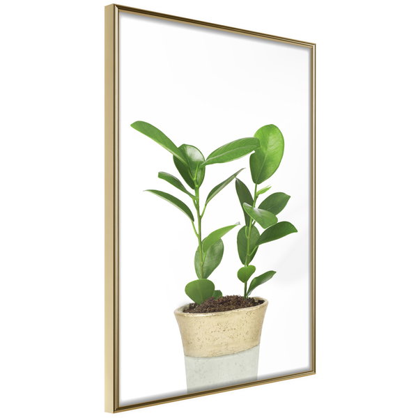 Poster 'Piece of Nature II'