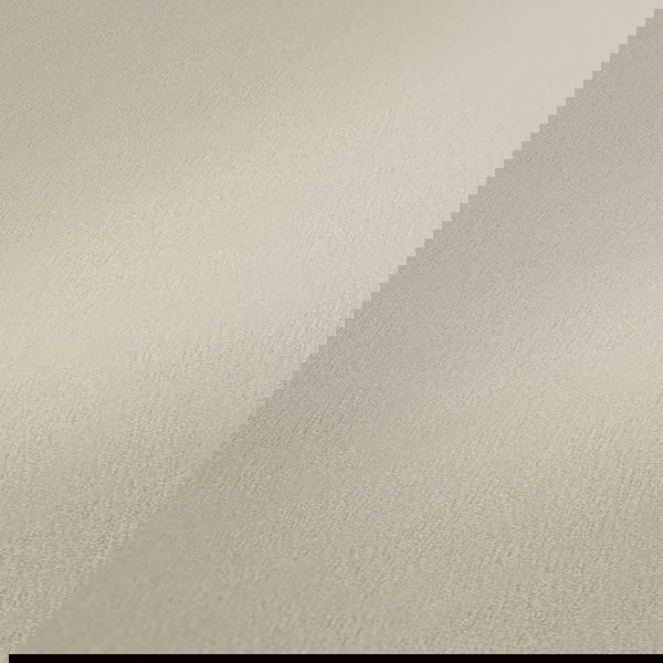 Tapeta 'Fulfilment of a Dream' 53x1005cm