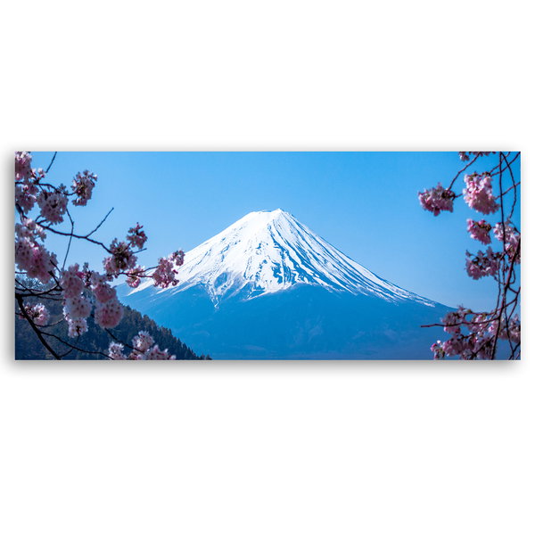 Kunstdruck auf Leinwand 'Blossoms of Mount Fuji'