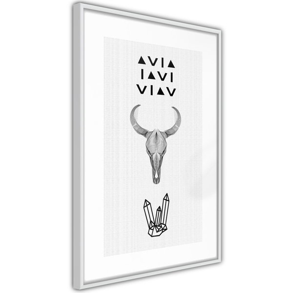 Poster 'Animal Skull'