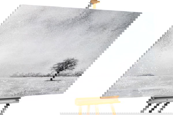 Een uniek exemplaar voor je interieur