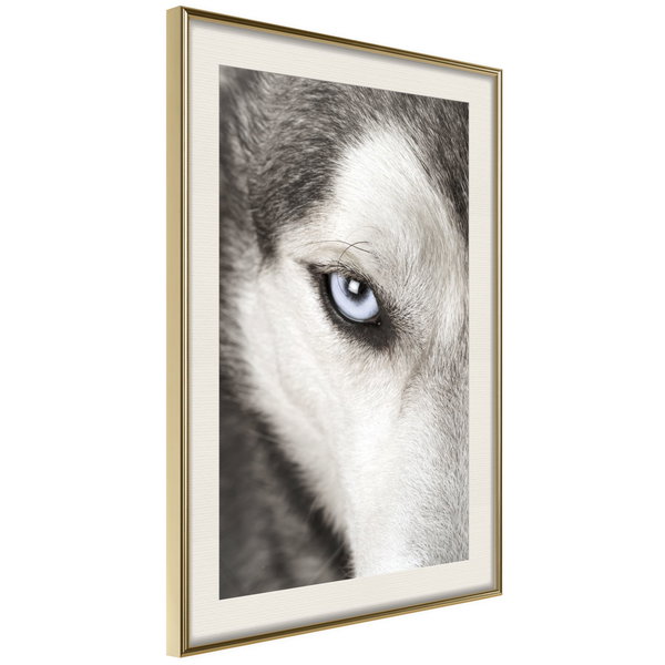 Poster 'Azure Eye'