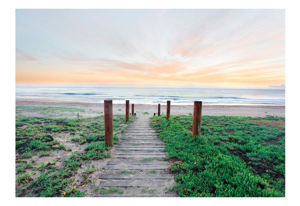 Papel pintado autoadhesivo 'Morning by the Ocean'