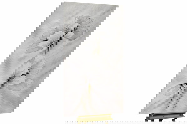 Un ejemplar único para su hogar o puesto de trabajo