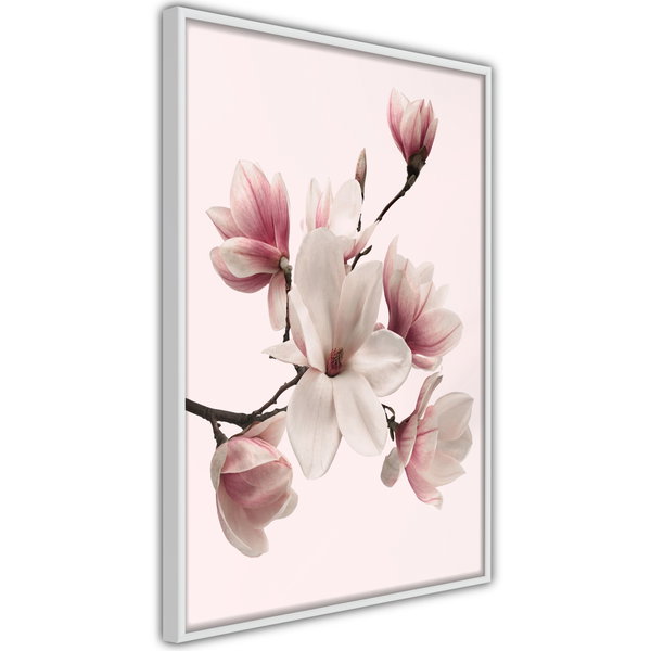 Poster 'Blooming Magnolias I'