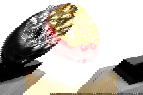 Een schat voor je woning