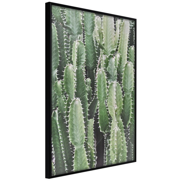 Poster 'Cactus Plantation'