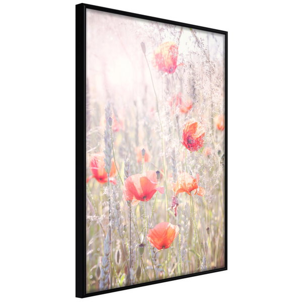 Poster 'Poppies'