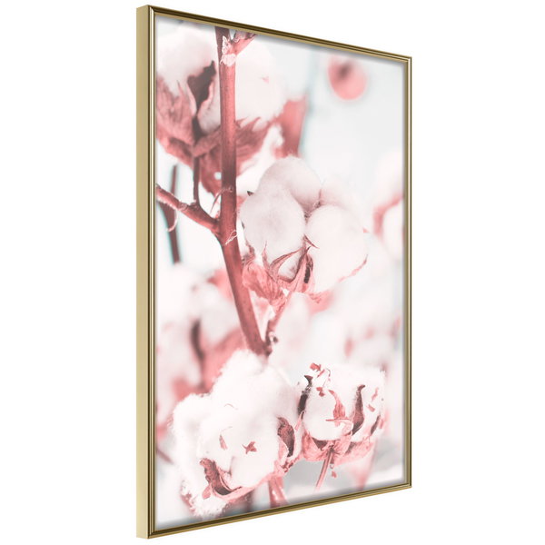 Poster 'Blooming Cotton'