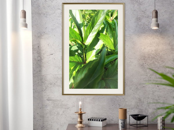 Poster 'Somewhere in the Garden'
