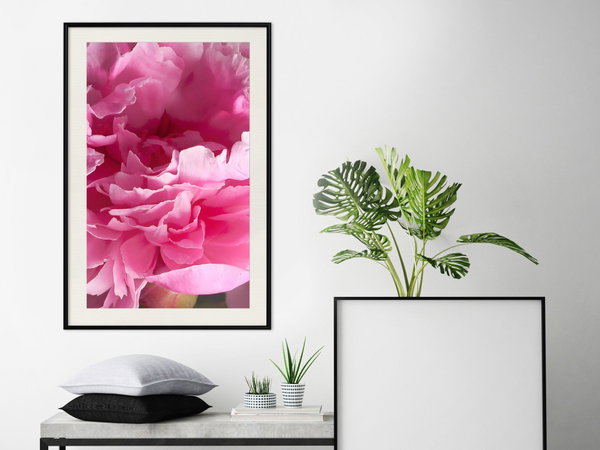Poster 'Beautiful Peonies'