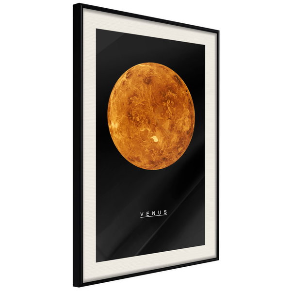 Poster 'Venus'