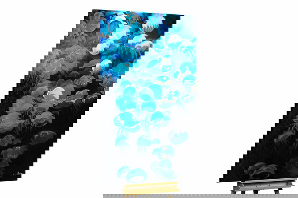 Een uniek exemplaar voor je interieur