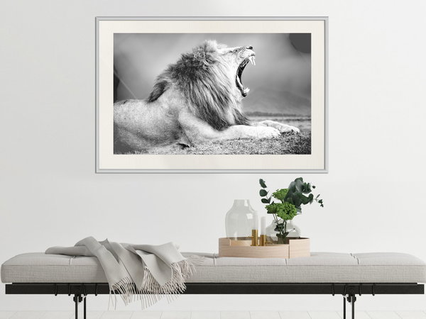 Poster 'Yawning Lion'
