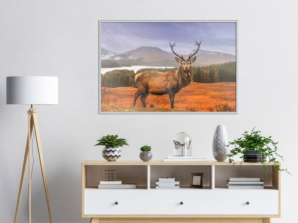 Poster 'Majestic Deer'