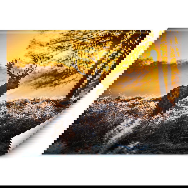 Papier peint 'Frost Stag'