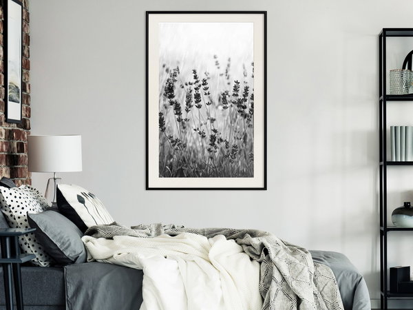 Poster 'Shadow of Meadow'