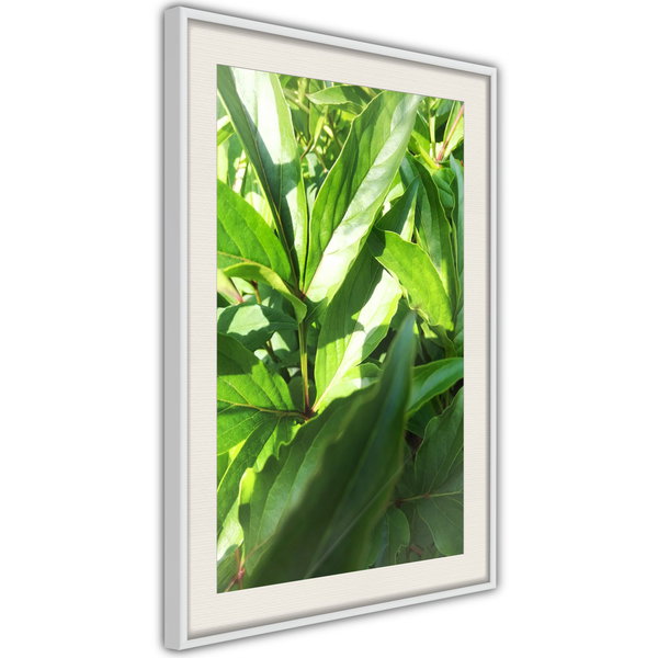 Poster 'Somewhere in the Garden'
