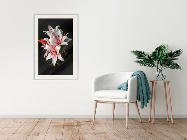 Poster 'Pale Pink Lilies'