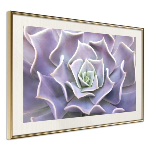 Poster 'Like a Flower'