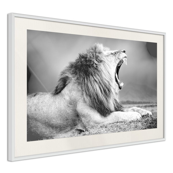 Poster 'Yawning Lion'