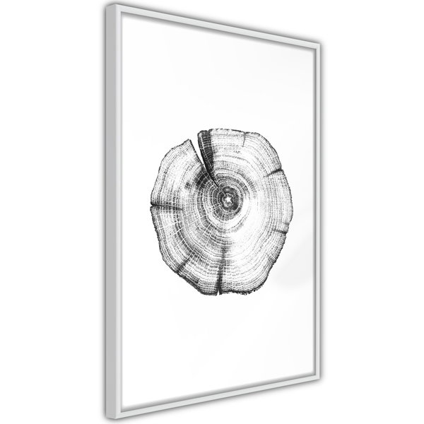 Poster 'Tree Rings'