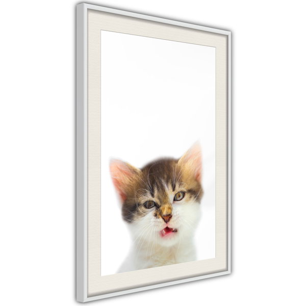 Poster 'Vexed Cat'