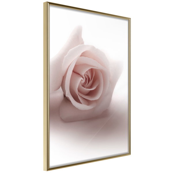 Poster 'Rosae Shadow'