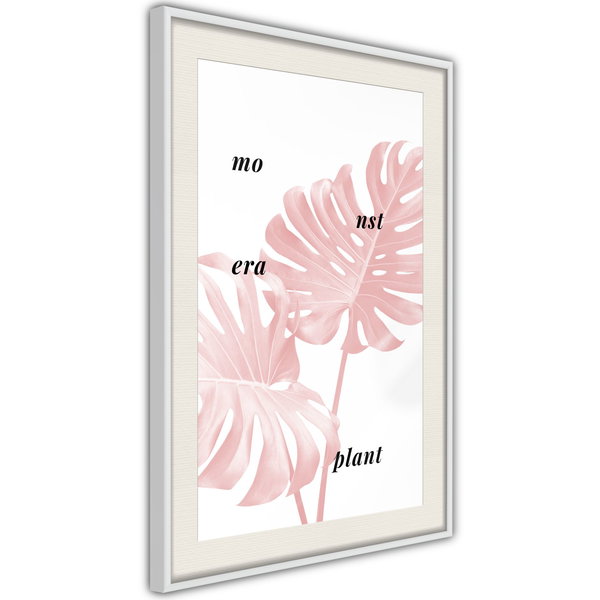 Poster 'Pale Pink Monstera'