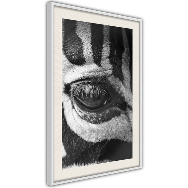 Poster 'Zebra Is Watching You'