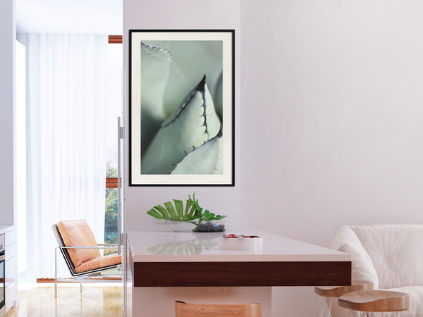 Poster 'Young Leaf of Agave'