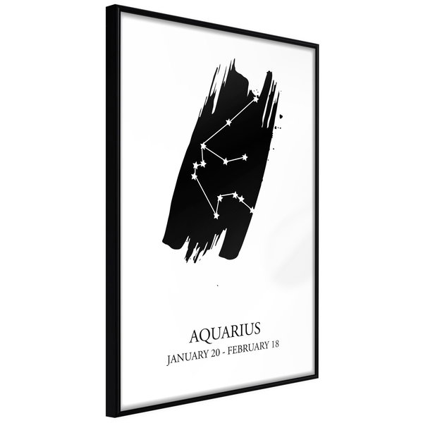 Poster 'Zodiac: Aquarius I'