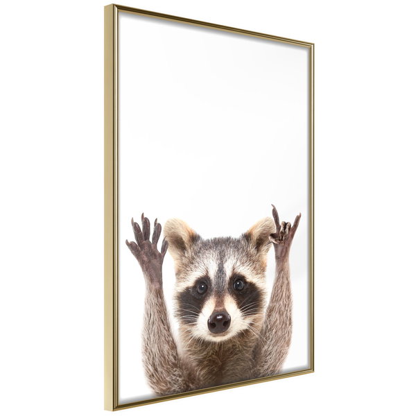 Poster 'Raccoon'