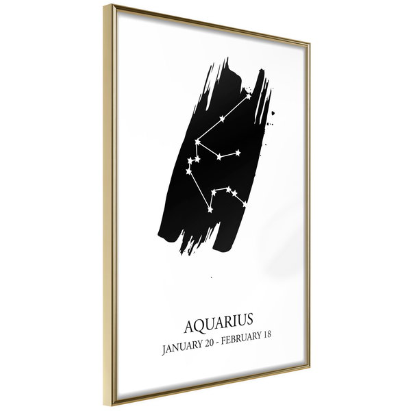 Poster 'Zodiac: Aquarius I'